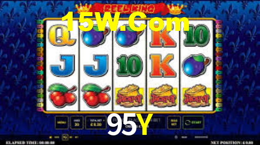 95y.com