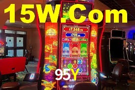 95Y App Interface